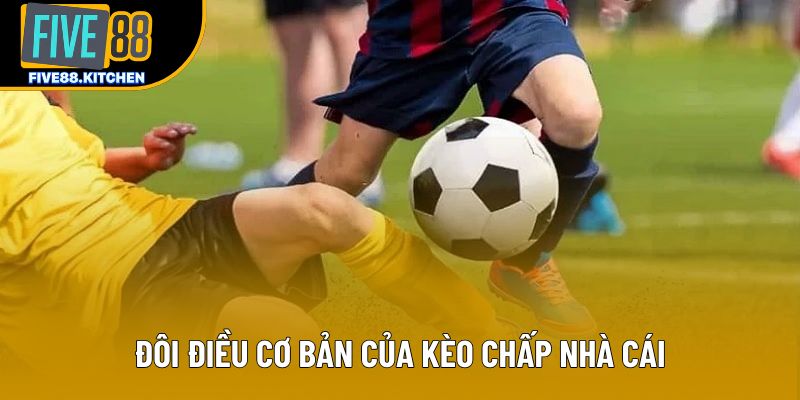 Đôi điều cơ bản của kèo chấp nhà cái